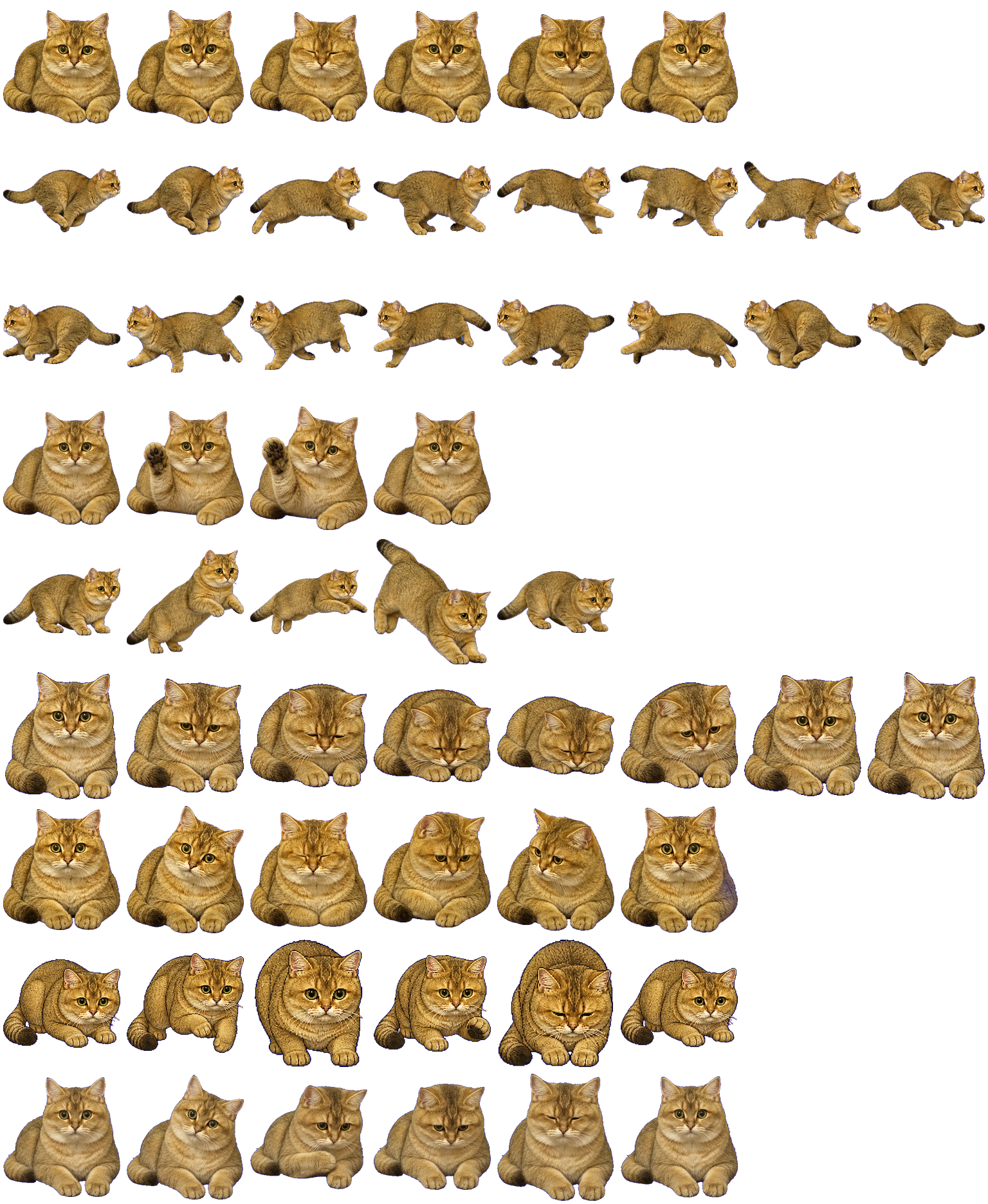 Binggan animated desktop pet preview for Codex Pet