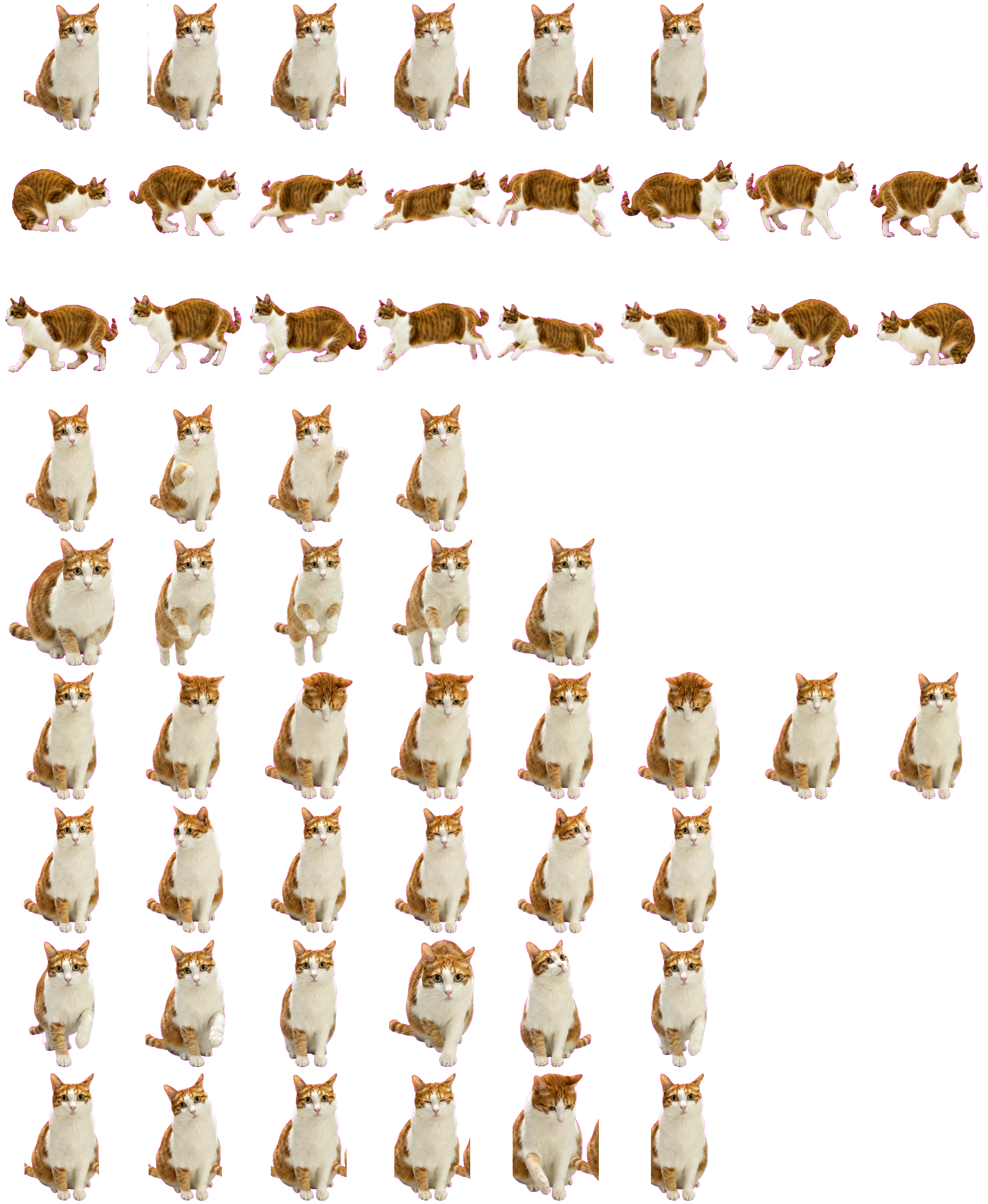 胖虎猫 Codex Pet 动态桌面宠物预览图
