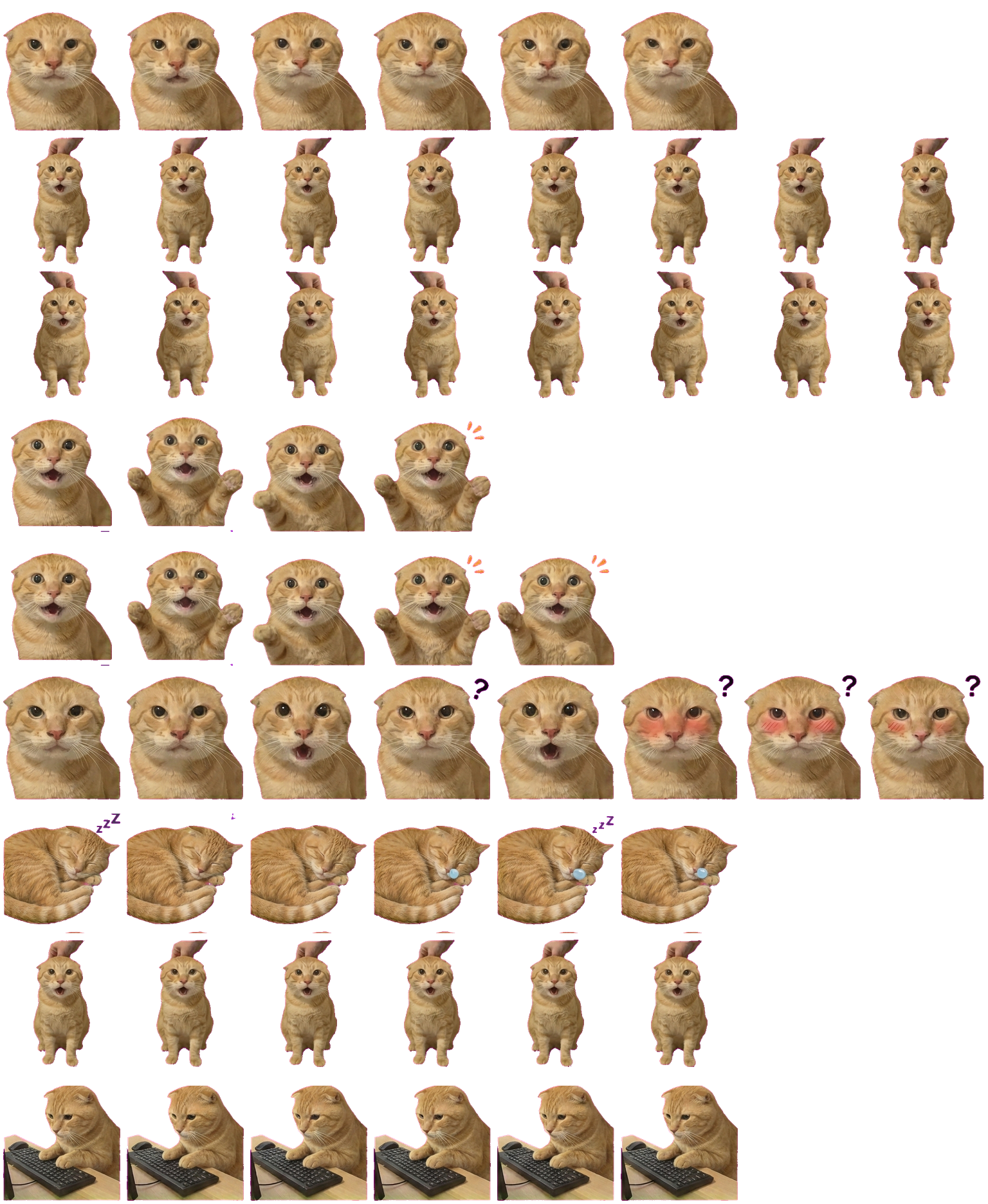圆头耄耋 Codex Pet 动态桌面宠物预览图