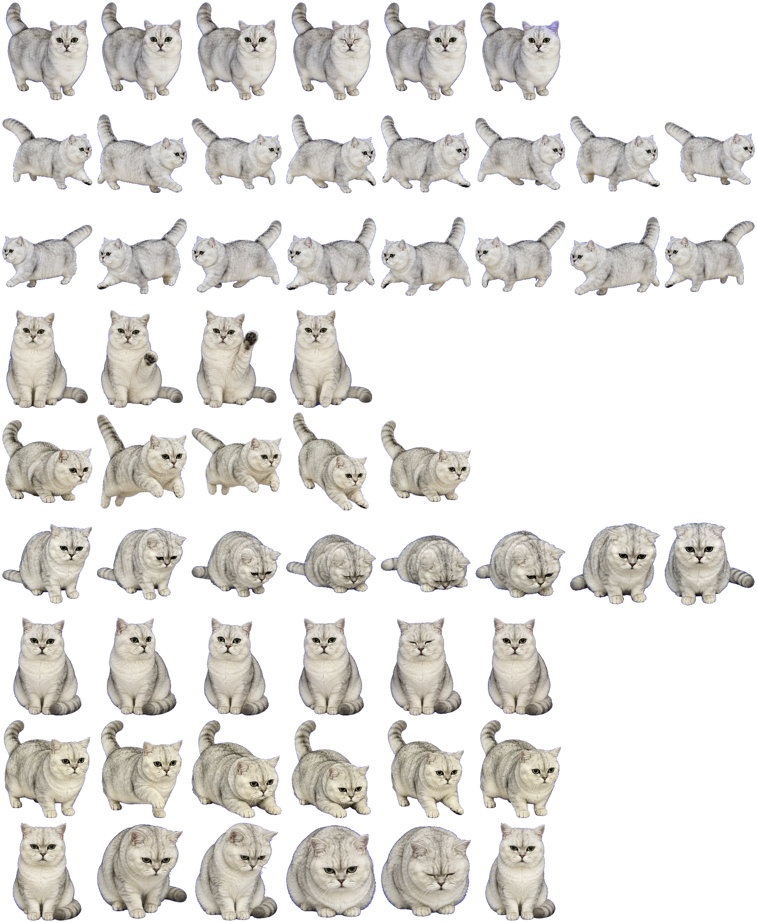 whisky Codex Pet アニメーションデスクトップペットのプレビュー